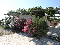 Die Ferienwohnungen Oase am Meer, Griechenland, Kreta, Ierapetra